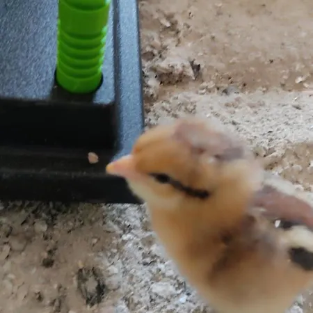 Sonnenhang Wuernitz Apartment *