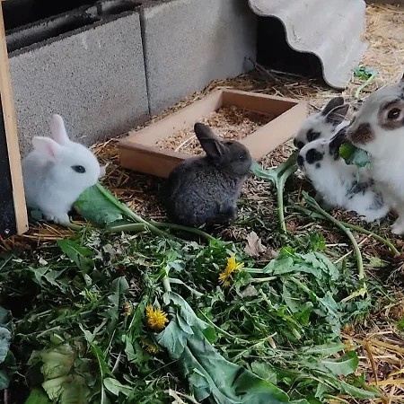 Sonnenhang Wuernitz Wurnitz