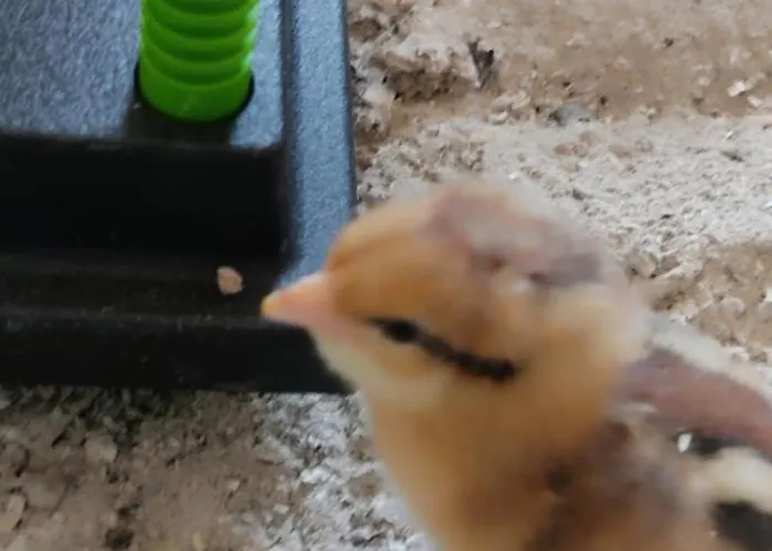 Sonnenhang Würnitz Apartamento *