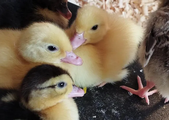 Sonnenhang Würnitz Apartamento