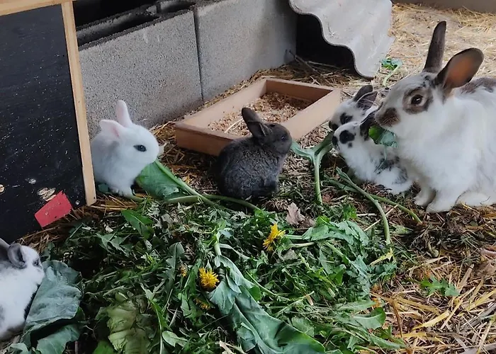 Sonnenhang Würnitz Wurnitz